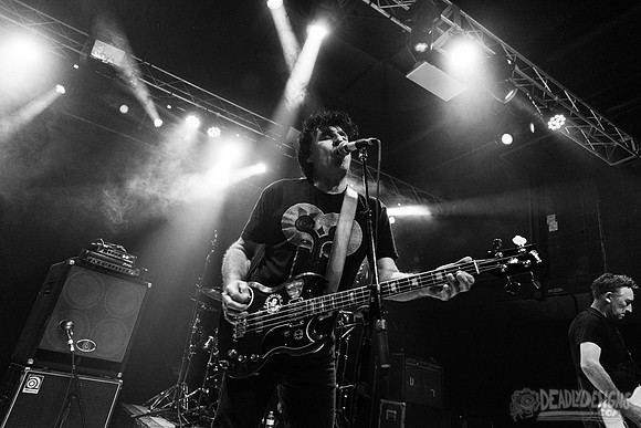 The Chameleons