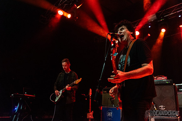 The Chameleons