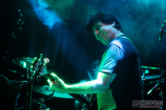 The Chameleons
