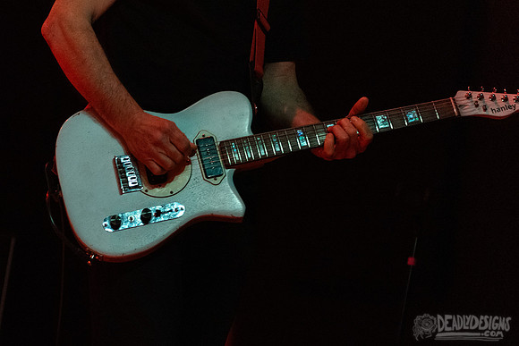 The Chameleons