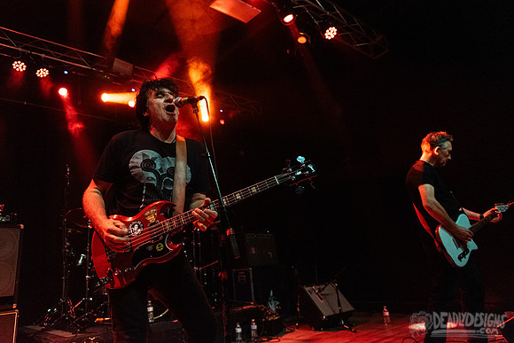 The Chameleons
