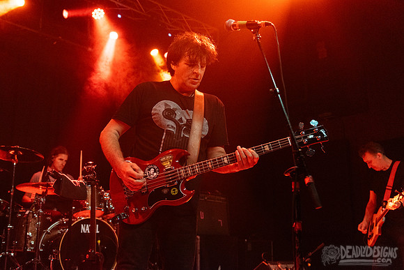 The Chameleons