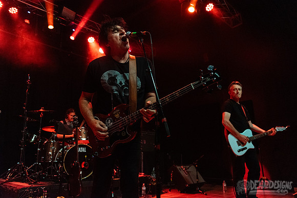 The Chameleons