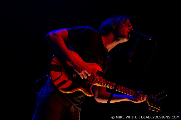The Whigs