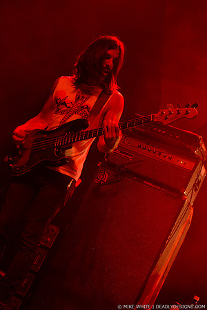 The Whigs