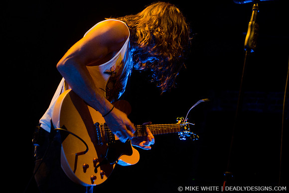 The Whigs