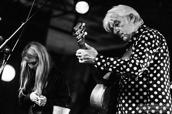 Robyn Hitchcock