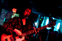 Viv and the Things