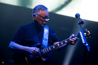 New Order