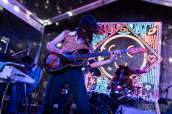 The Lemon Twigs