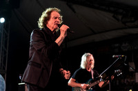 The Zombies
