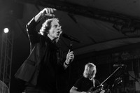 The Zombies