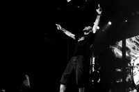 Lamb of God