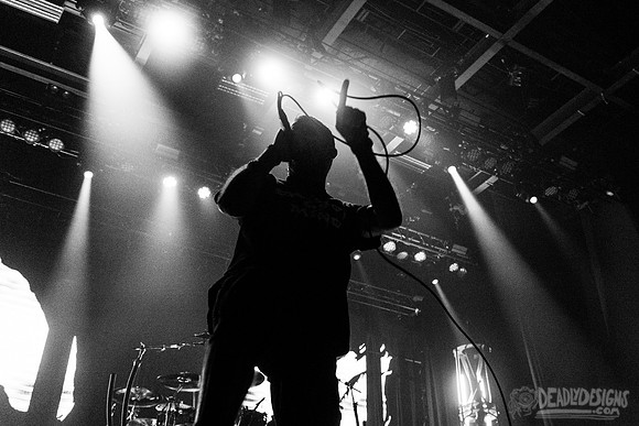Lamb of God