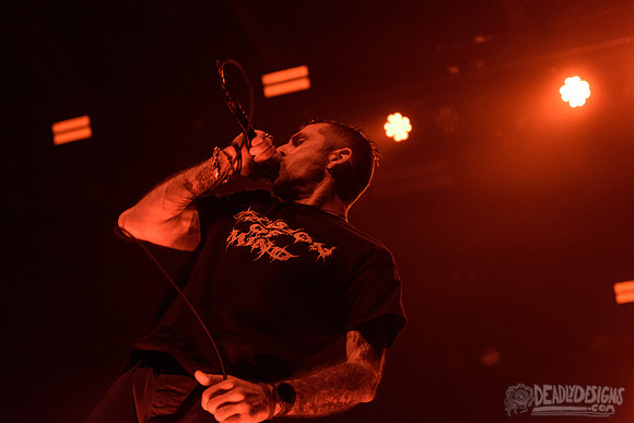 Lamb of God