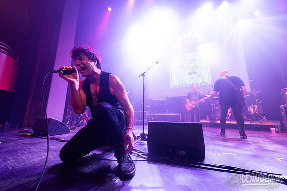 The Chameleons