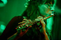 Gnome Forest Sound Bath