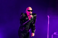 The Human League