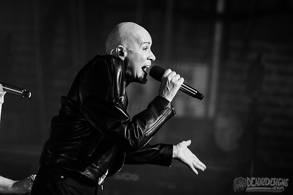 The Human League