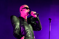 The Human League