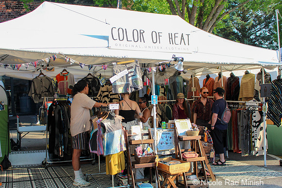 Artist Marketplace (Nicole Rae Minish)