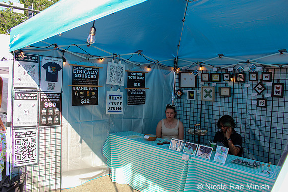 Artist Marketplace (Nicole Rae Minish)