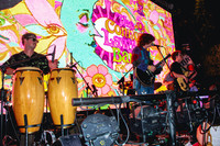 Connor Lawley Band (Nicole Rae Minish)