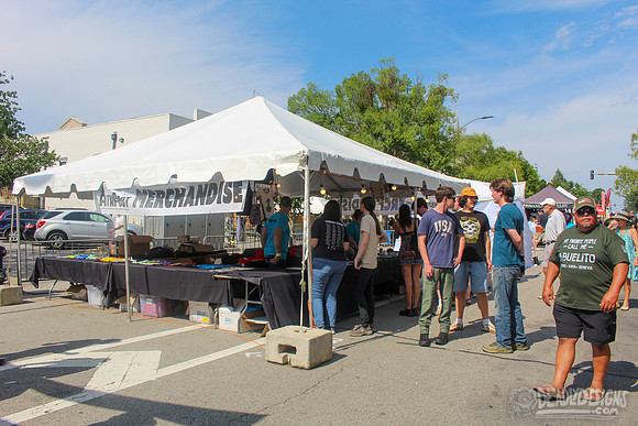 Merchandise & Volunteers (Nicole Rae Minish)