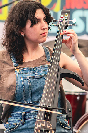 Howdy, Fellow Traveler! (Nicole Rae Minish)