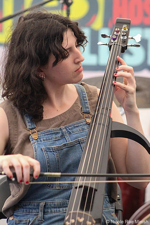 Howdy, Fellow Traveler! (Nicole Rae Minish)