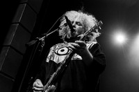 The Melvins
