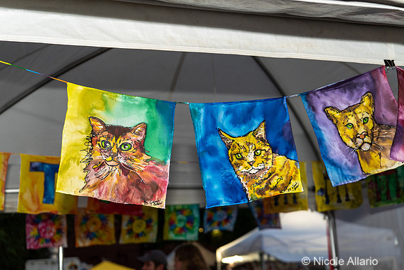 Artist Marketplace (Nicole Allario)