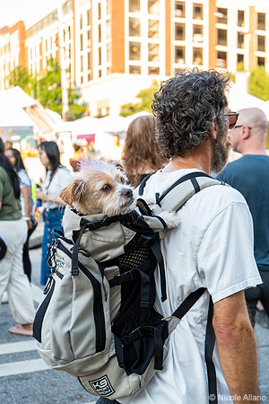 People of AthFest (Nicole Allario)