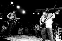 janglE