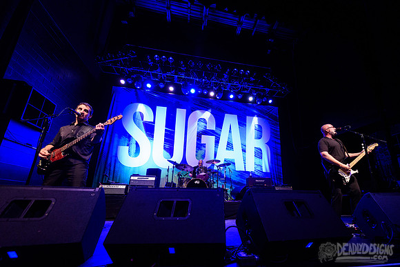 Sugar