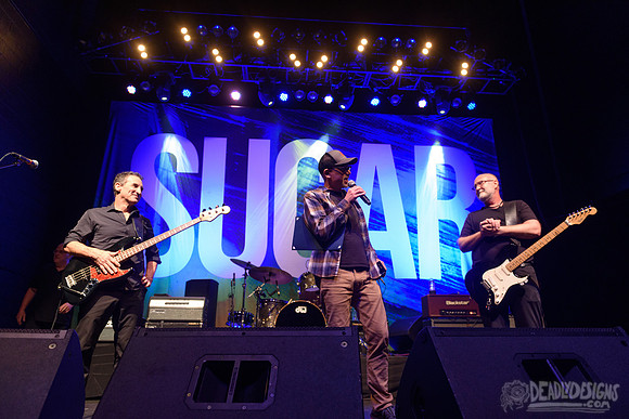 Sugar
