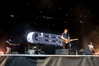 Geese