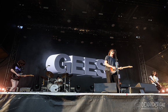 Geese