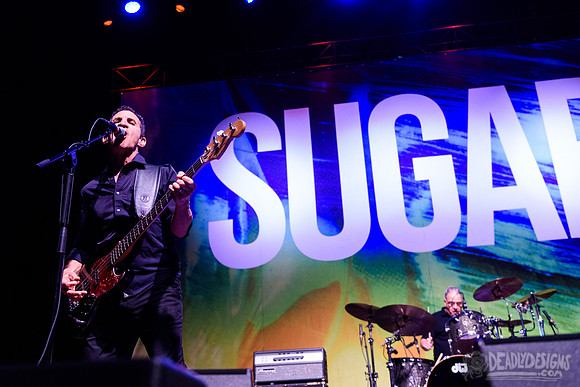 Sugar