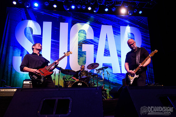 Sugar