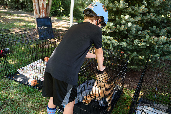 Barrow County Animal Shelter