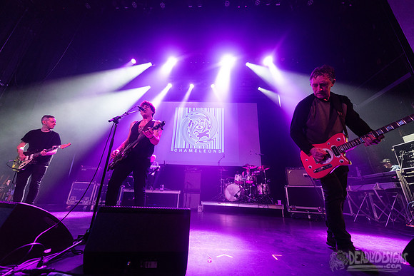 The Chameleons
