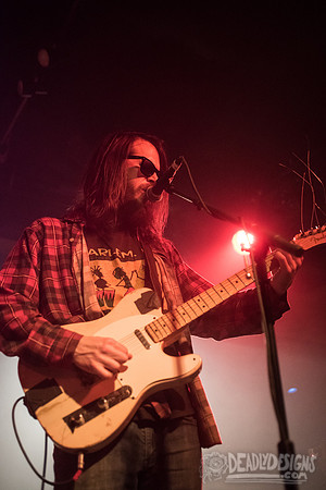The Whigs