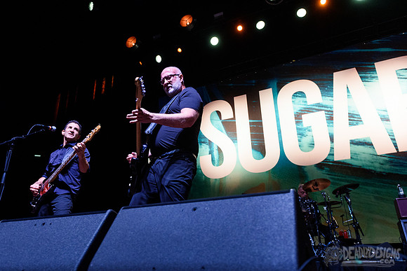 Sugar