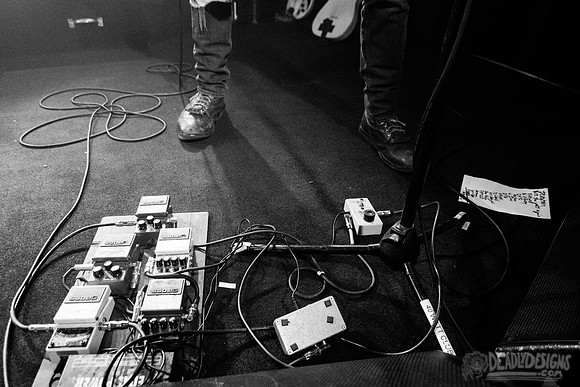 The Whigs