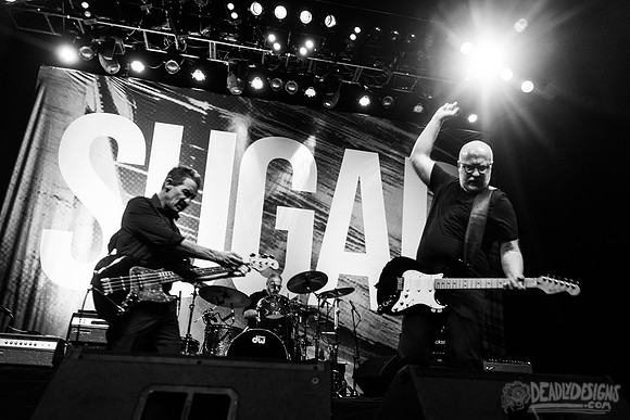 Sugar
