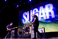 Sugar