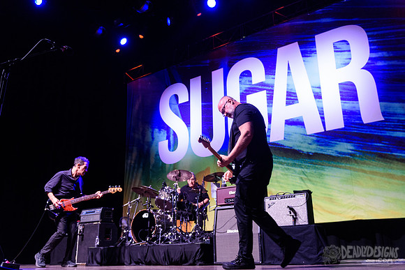 Sugar