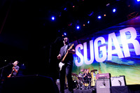 Sugar