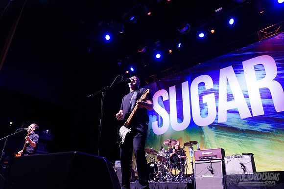 Sugar